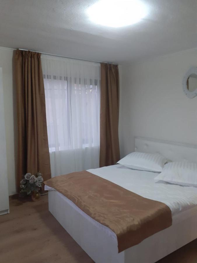 Vila Zorilor Dîmbovicioara Εξωτερικό φωτογραφία